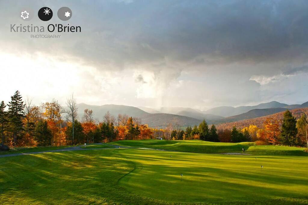 The Glen House -9 Bdrm Estate Sleep 26 Movie Theater,Pool,Golf,Ski Ньюрі Екстер'єр фото
